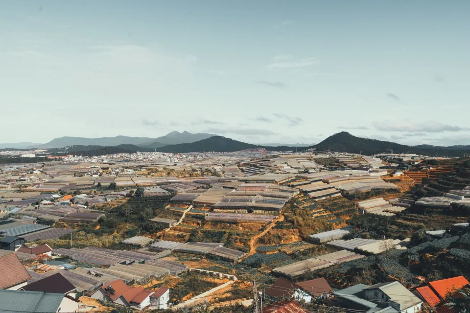 Phòng đôi view vườn, yên tĩnh